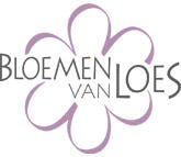 Bloemen Van Loes: fleur uw kantoor op.