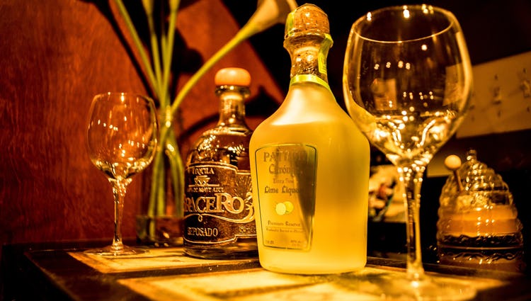 Tequila Tasting