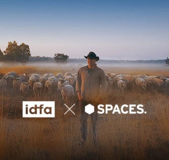 IDFA x Spaces: screening Sheep Hero
