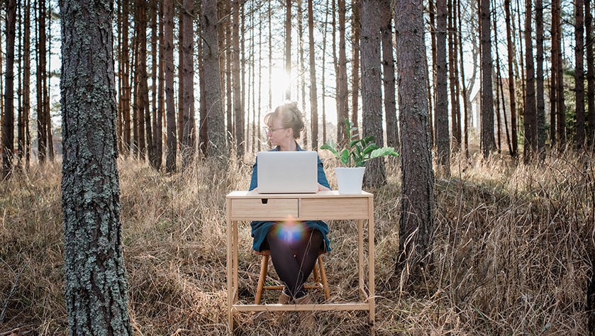 woman travelling working on a desk and laptop in a forest at sunset